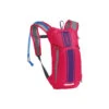 Camelbak Mini M.U.L.E. 50 Oz Hydration Pack Kids -Christy Sports 0457896 064 1