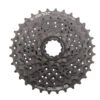 Shimano Altus 8-Speed CS-HG31 Cassette 11-34T -Christy Sports 1007169 000 1