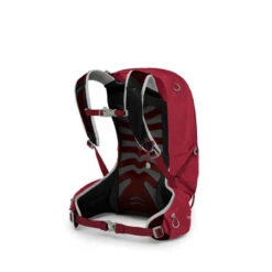 Osprey Talon 22 Hiking Back Pack -Christy Sports 1042898 090 2