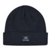 Flylow Longshoreman Beanie -Christy Sports 3002915 020 1