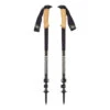 Black Diamond Alpine Carbon Cork Trekking Poles 2 Black Diamond Alpine Carbon Cork Trekking Poles -Christy Sports 3009372 000 01