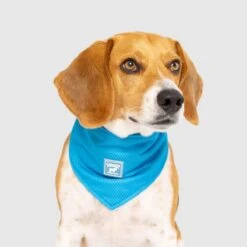 Canada Pooch Cooling Bandana Medium -Christy Sports 8104983 047 2